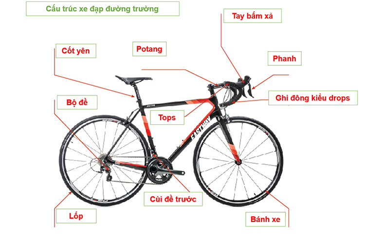 Điểm khác nhau cơ bản giữa xe đạp đường trường và xe đạp 3 môn phối hợp