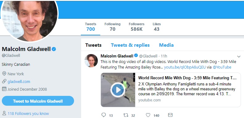 Con chó chạy nhanh nhất thế giới khiến Malcolm Gladwell phải tấm tắc khen