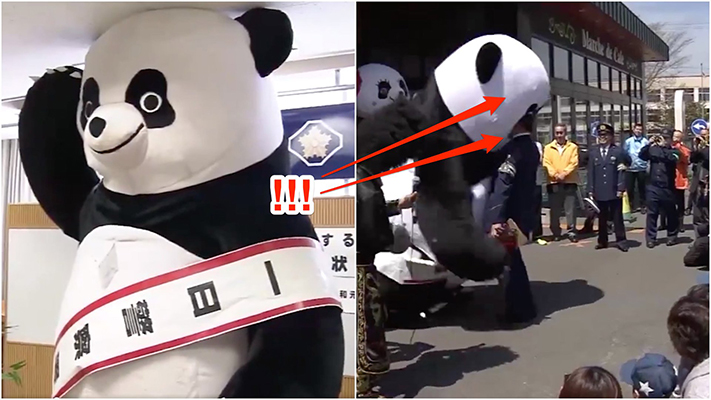 Sốc không, cảnh gấu panda cụng đầu làm cảnh sát khuỵu gối?