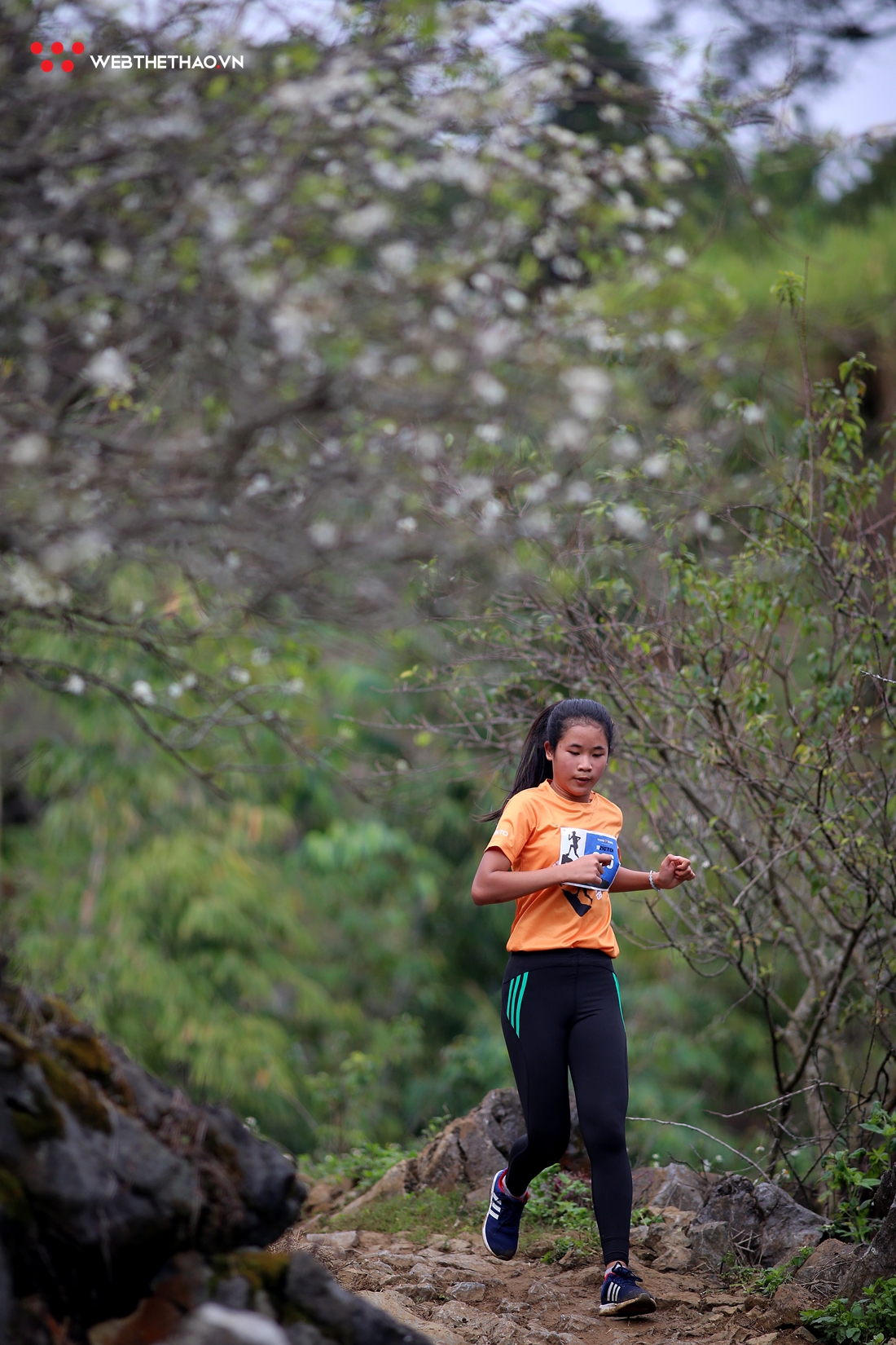 Hoa mận trắng cung đường mòn Mộc Châu đón hơn 3.000 VĐV chạy Vietnam Trail Marathon 2020