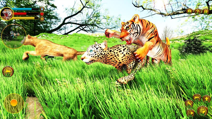 Tiger Simulator 3D: Cách tải game trên APK cho Android