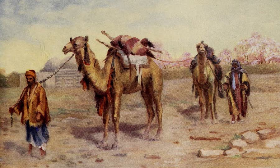 Lịch sử AOE: Vì sao Palmyran sở hữu lạc đà bay và nông dân đắt đỏ?
