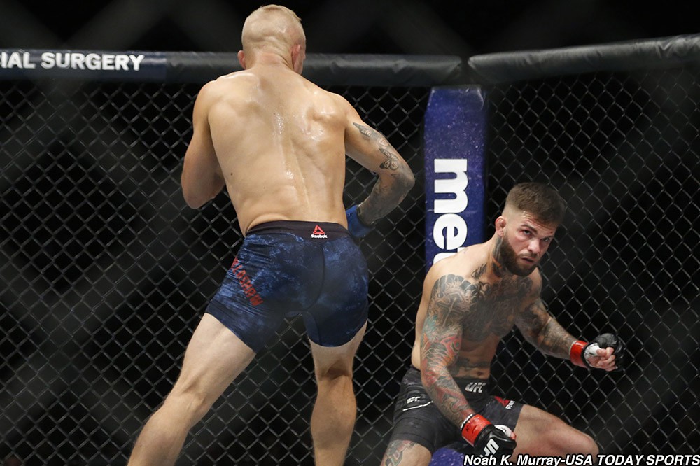 Thắng knockout Cody Garbrandt 2 lần, TJ Dillashaw vẫn còn cay cú  - Ảnh 5.