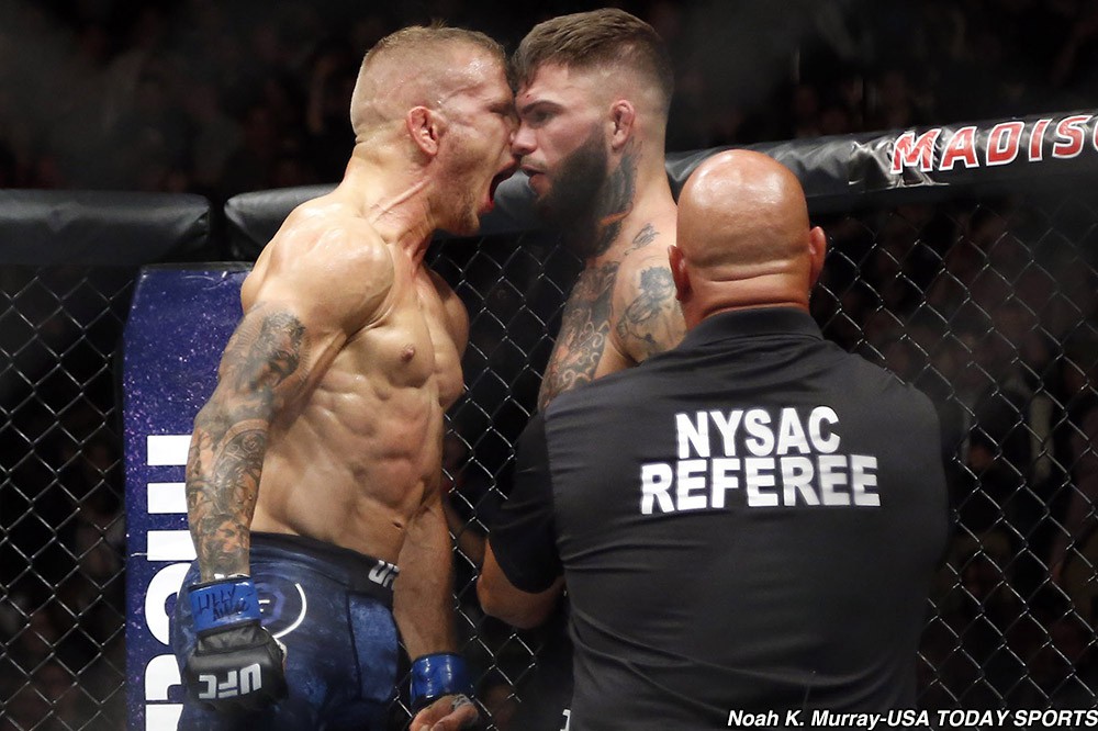 Thắng knockout Cody Garbrandt 2 lần, TJ Dillashaw vẫn còn cay cú  - Ảnh 3.