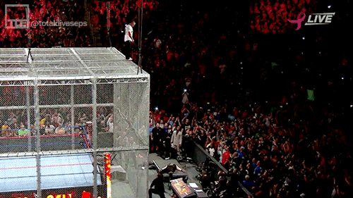 Vì sao Brock Lesnar lại bị cả cộng đồng fan WWE tẩy chay - Ảnh 2.