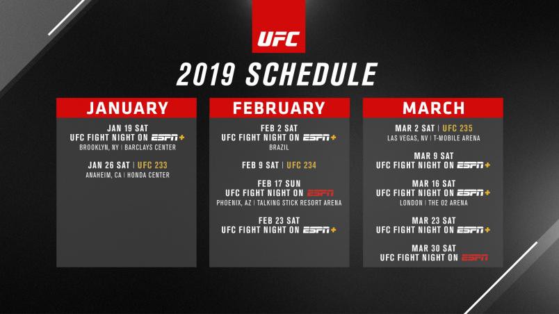 UFC chính thức hủy bỏ sự kiện UFC 233 vào ngày 26/1 - Ảnh 1.