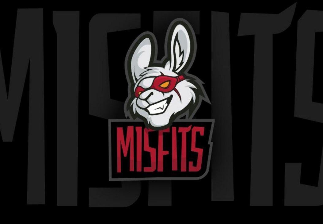 Misfits Gaming công bố đội hình chính thức cho mùa giải 2019 - Ảnh 1.