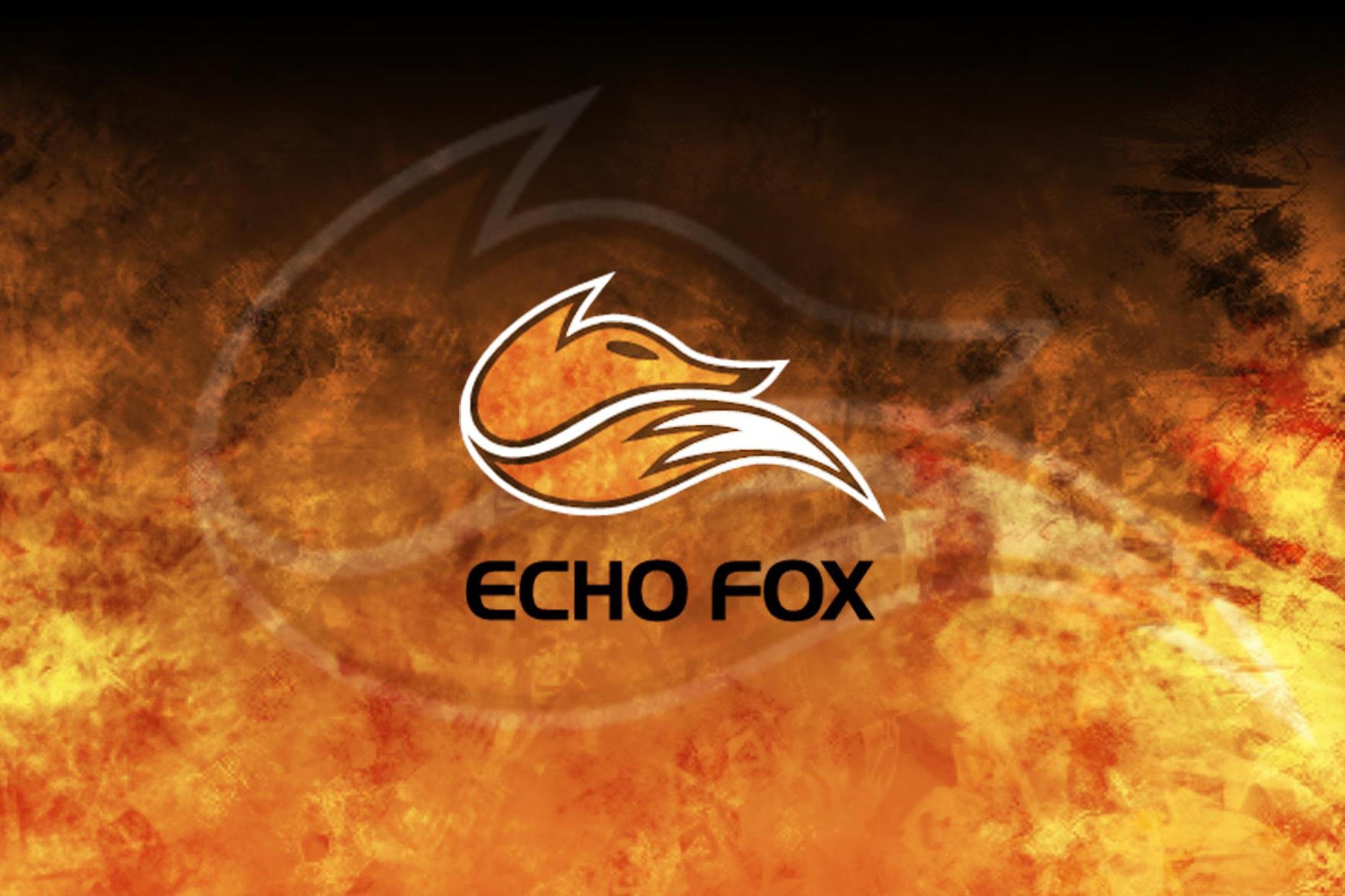 LCS: Echo Fox công bố đội hình chính thức cho mùa giải 2019 - Ảnh 1.