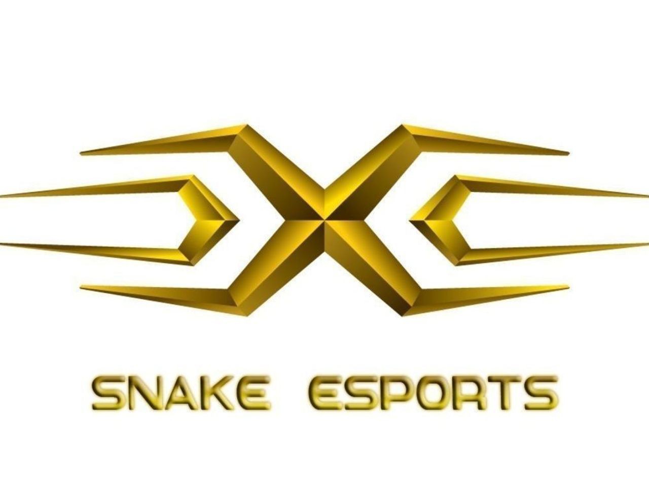 Snake Esports giữ lại SofM và Mala sẽ là người đi đường giữa mới vào mùa giải 2019  - Ảnh 1.