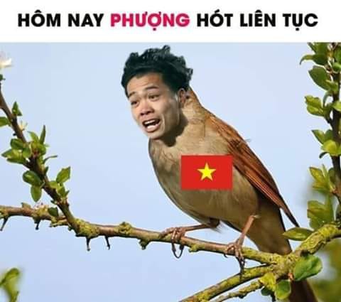 Ảnh chế chiến thắng của ĐT Việt Nam trước Phlippines tại bán kết lượt về AFF Cup 2018: Hoạ mi Phượng đã hót! - Ảnh 1.