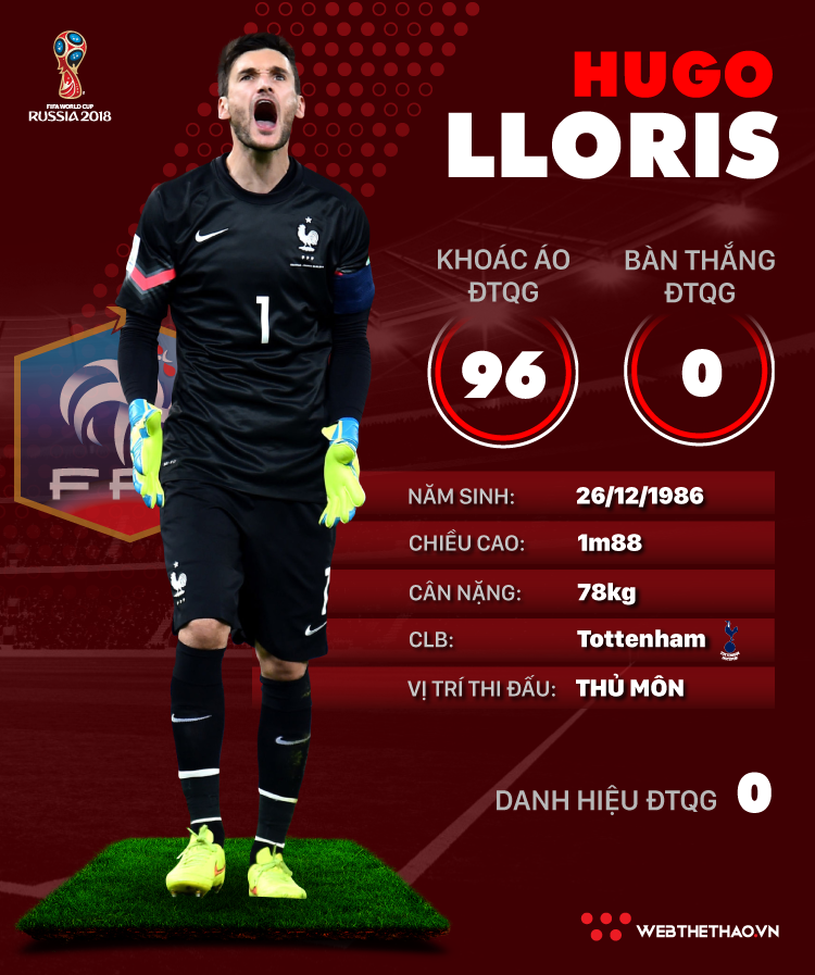 Thông tin cầu thủ Hugo Lloris của ĐT Pháp dự World Cup 2018 - Ảnh 1.