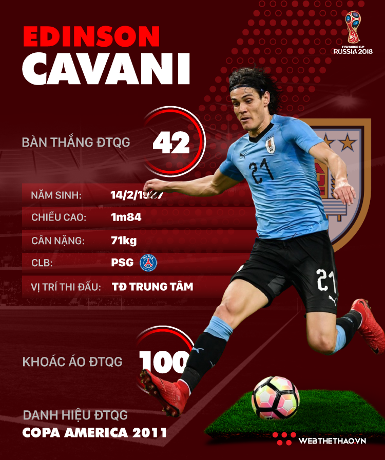 Thông tin cầu thủ Edinson Cavani của ĐT Uruguay dự World Cup 2018 - Ảnh 1.