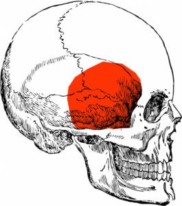 Những mục tiêu hiệu quả nhất cho các đòn đánh Knock-out  - Ảnh 4.