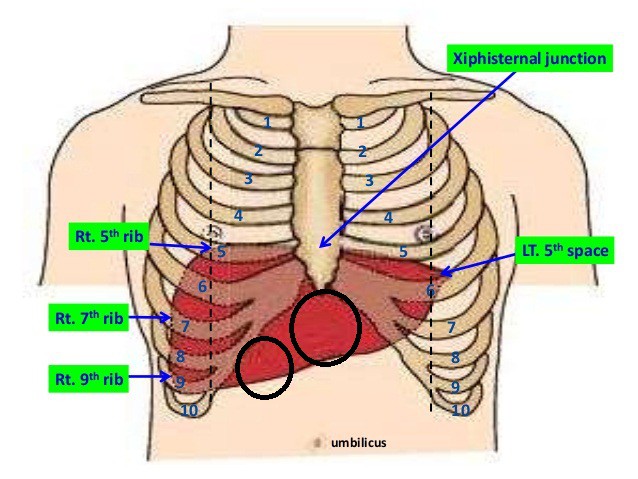 Những mục tiêu hiệu quả nhất cho các đòn đánh Knock-out  - Ảnh 7.