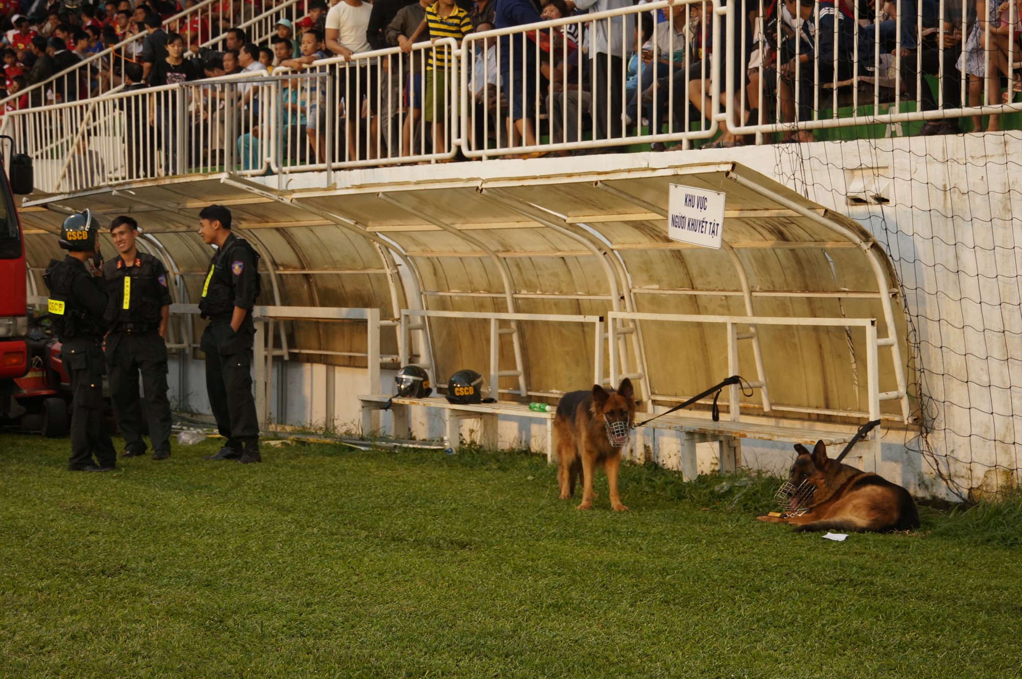 HAGL tăng cường chó nghiệp vụ để đảm bảo an ninh những trận đấu trên sân Pleiku  - Ảnh 1.