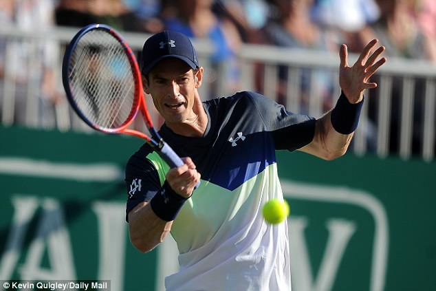Andy Murray bỏ ngỏ khả năng tham dự Wimbledon - Ảnh 1.
