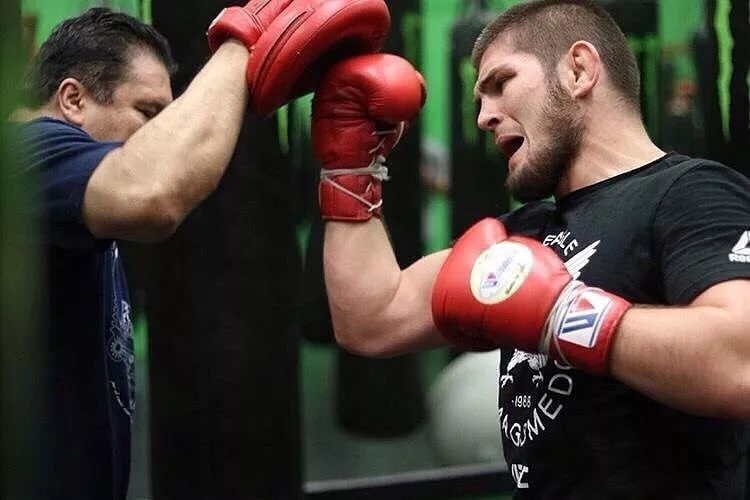 Khabib đã dự đoán đúng bao nhiêu lần về số phận của đội tuyển Nga? - Ảnh 1.