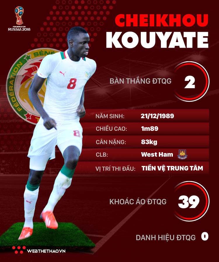 Thông tin cầu thủ Cheikhou Kouyate của ĐT Senegal dự World Cup 2018 - Ảnh 1.