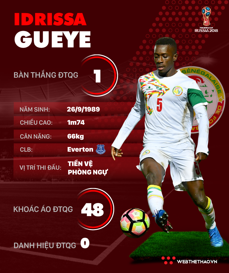 Thông tin cầu thủ Idrissa Gueye của ĐT Senegal dự World Cup 2018 - Ảnh 1.