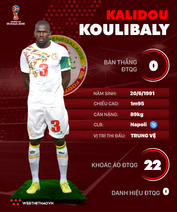 Thông tin cầu thủ Kalidou Koulibaly của ĐT Senegal dự World Cup 2018 - Ảnh 1.