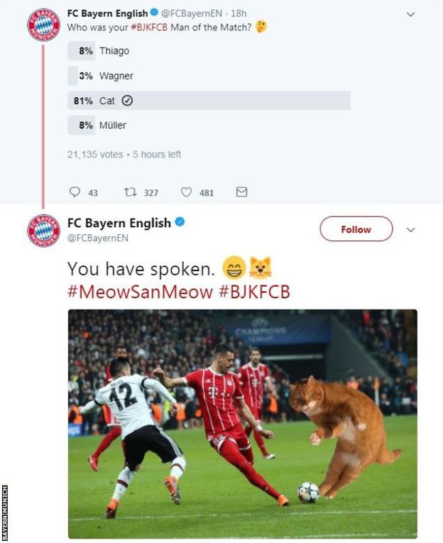 Chú mèo khiến Besiktas mất gần... 1 tỷ đồng nộp phạt ở trận gặp Bayern Munich - Ảnh 3.