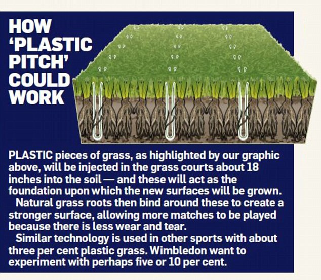 Wimbledon cân nhắc cấy thêm cỏ nhân tạo ở các sân tổ chức giải - Ảnh 2.