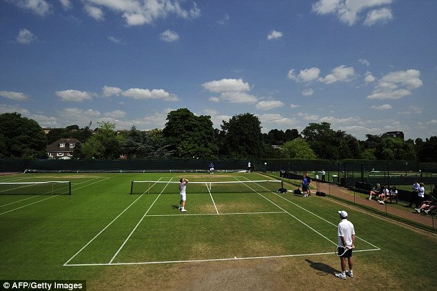 Wimbledon cân nhắc cấy thêm cỏ nhân tạo ở các sân tổ chức giải - Ảnh 1.