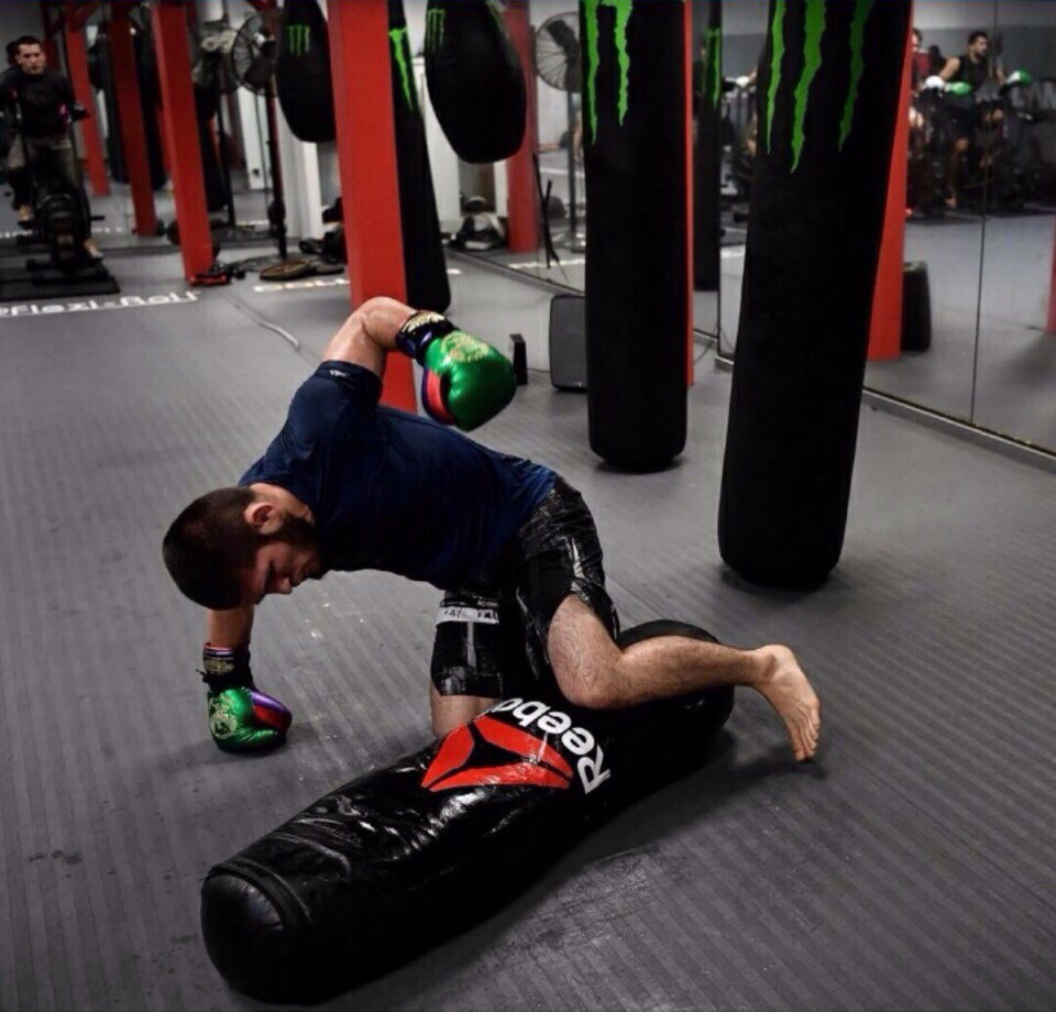 HLV: Khabib Nurmagomedov đã rất sẵn sàng để đập nát Conor McGregor tại UFC 229 - Ảnh 8.