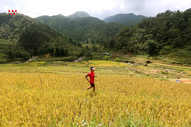 Vietnam Mountain Marathon 2018: Sải bước chân-Ngắm mùa vàng - Ảnh 10.