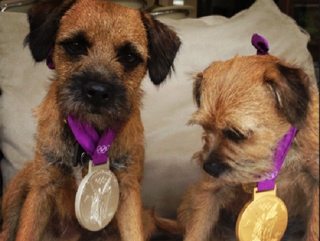 Rusty (trái) và Maggie May đeo những tấm huy chương Olympic của ''cậu chủ'' Murray