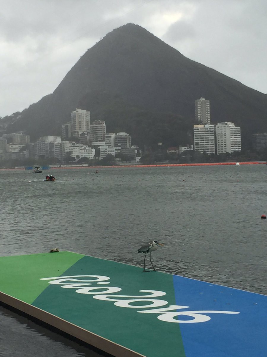 Lần thứ 2 tại Rio 2016, môn rowing bị hoãn vì gió to