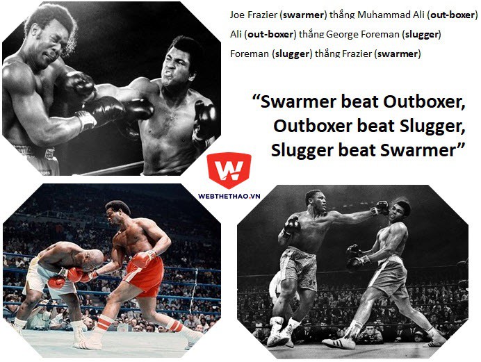 ''Swarmer thắng Outboxer, Outboxer thắng Slugger, Slugger thắng Swarmer”