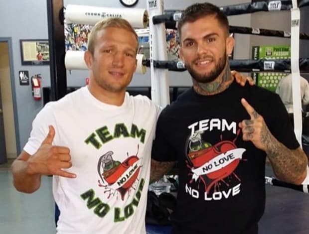 dillashaw garbrandt 