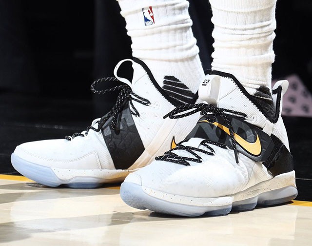 Nike LeBron 14 “The Land” PE