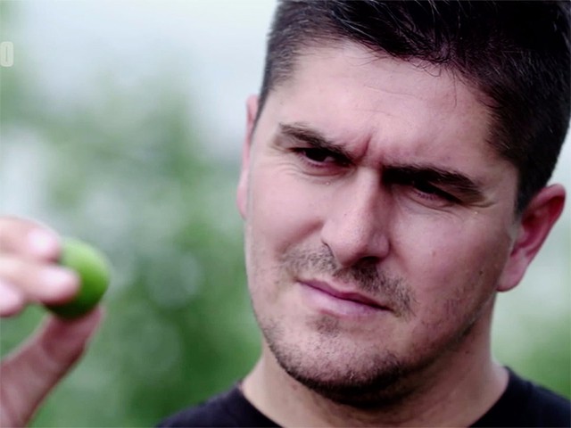 Darko Milicic đang thành công với nghề trồng táo