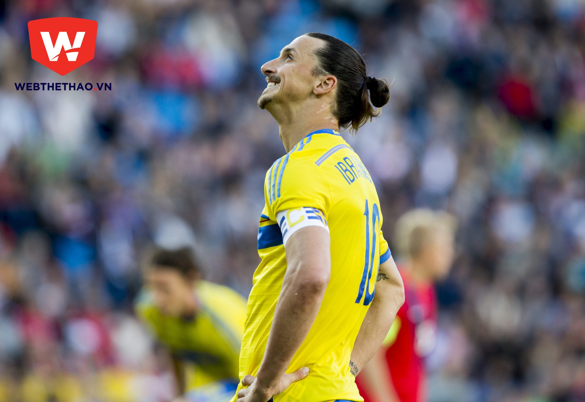 Thụy Điển của mấy năm qua chỉ có thể mô tả như đội bóng gồm Zlatan Ibrahimovic cùng những người bạn. 