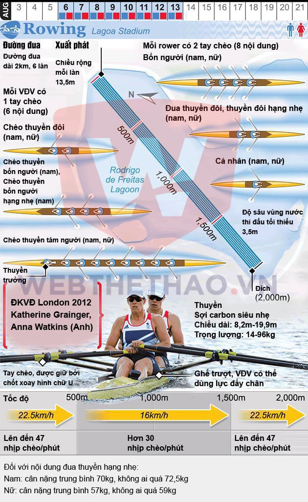 Infographic môn đua thuyền rowing tại Olympic 2016