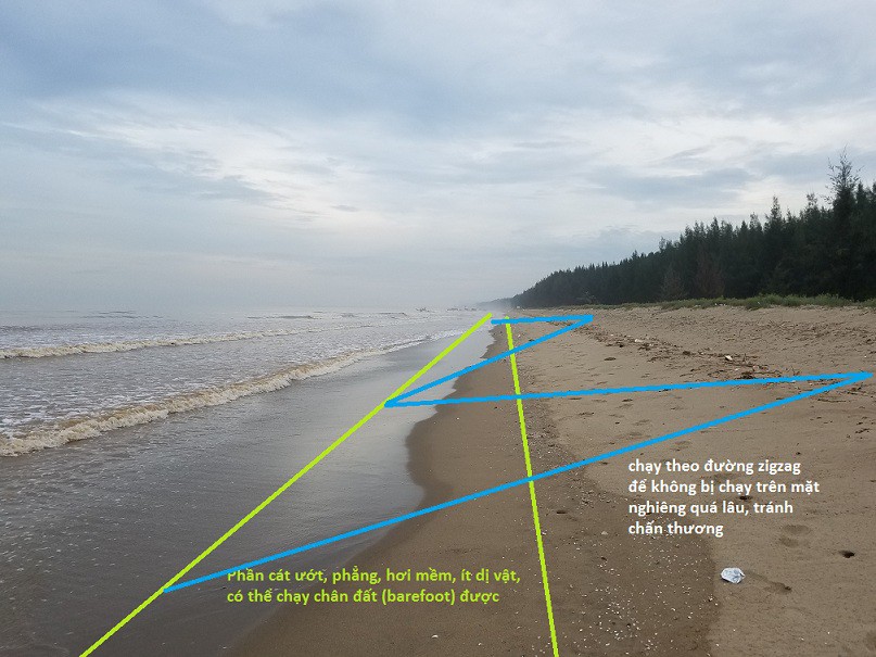 Chạy bộ trên bãi biển nên chọn chỗ cát ướt, phẳng, hơi mềm (vùng xanh nõn chuối). Chạy theo hình zigzag để tránh chạy trên mặt nghiêng quá lâu, tránh chấn thương