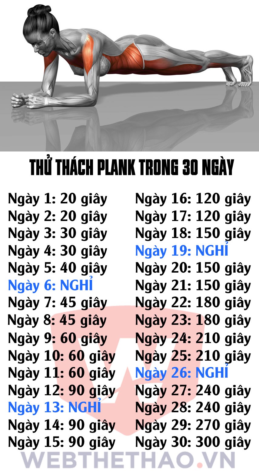 Kế hoạch 30 ngày tập plank 5 phút