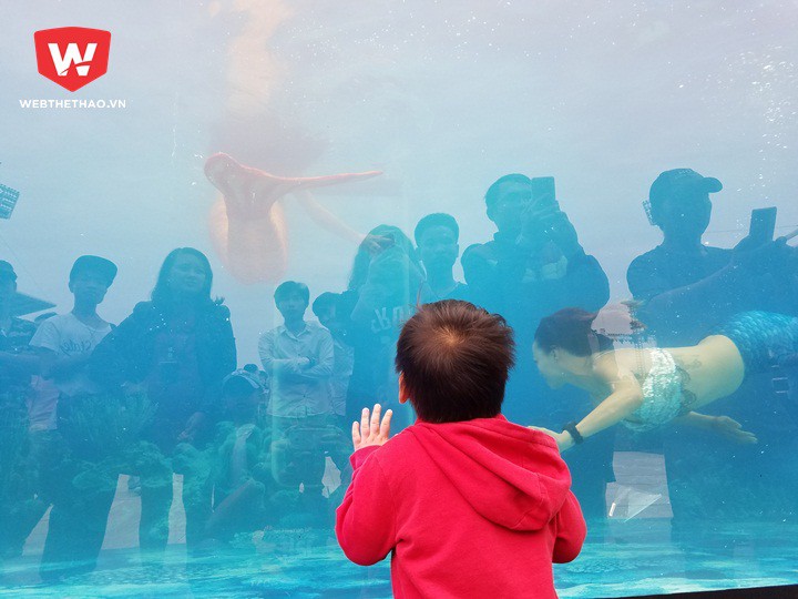 Một khán giả nhí thích thú ngắm nhìn các nàng tiên cá bơi lượn trong bể cá khổng lồ