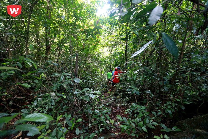 Thậm chí nhiều đoạn đòi hỏi các runner phải tự định hướng đường chạy cho cỏ cây đặc trưng của vùng rừng rậm nhiệt đới đã che kín đường trail.