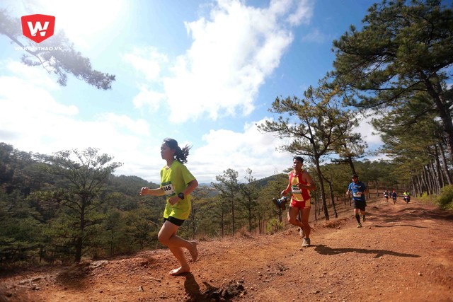 Đặc biệt trong đó, runner Linh Nhi (số Bib 2846) còn giành ngôi quán quân nội dung 21km đầy thuyết phục