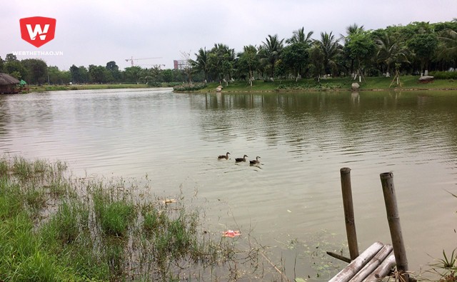 ...hay thả hồn vào một không gian đúng chất đồng quê với đàn vịt dễ thương tung tăng bơi lội giữa sông.