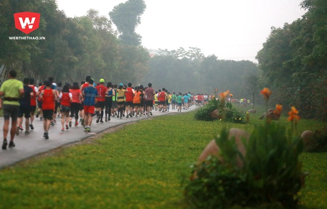 ...với cỏ cây, hoa lá trong một khung cảnh thiên nhiên rợp một màu xanh của Ecopark mà không một nơi nào có được.