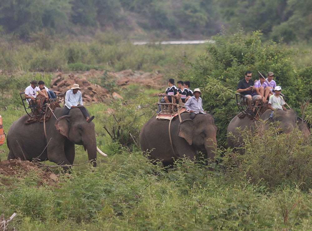 Các em nhỏ khá thích thú trong lần đầu tiên được cỡi Voi. 