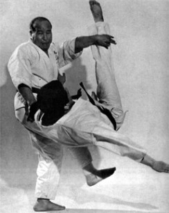Khả năng tấn công cương mãnh khiến Kyokushin Karate nổi bật