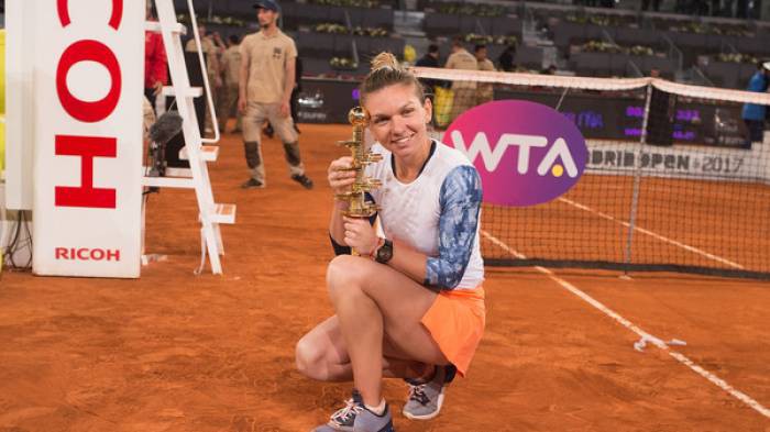 hình ảnh: Halep đã giành những giải WTA danh giá trên sân đất nện, nhưng chưa mộrt lần đăng quang ở Roland Garros