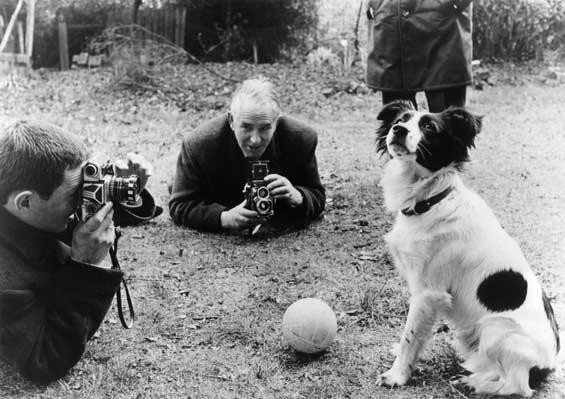 Hình ảnh: Pickles đã cứu cho chủ nhà Anh và bóng đá thế giới ''một bàn thua trông thấy'' và tên tuổi chú chó này đã được lưu danh lịch sử