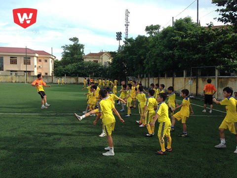 Lò SLNA hiện nay có đầy đủ các lứa U và hệ thống chân rết ở các huyện, thị; một điều mà ở Việt Nam, gần như các địa phương không có được. 