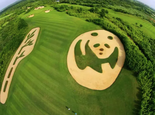 Meadow Links Golf Course với thiết kế "Bunker Gấu Trúc"